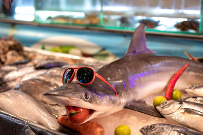 Close-up of fish for sale at market