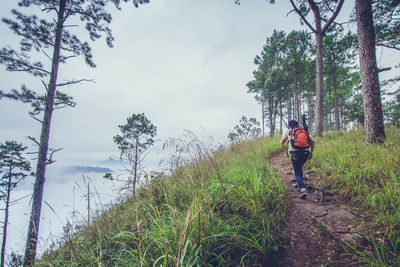 Rear view of man standing on land against sky