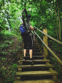 Rear view of person on staircase in forest