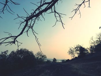 Silhouette trees on landscape against clear sky