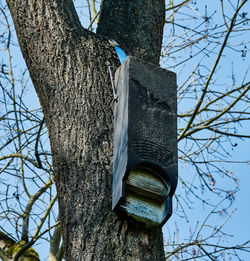 Low angle view of birdhouse on tree trunk