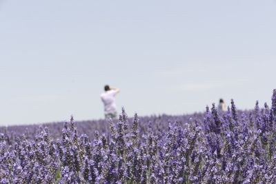 Flowers growing on field