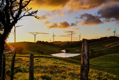 Scenic view of field against sky during sunset