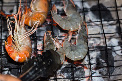 High angle view of shrimps on metal grate over burning charcoal