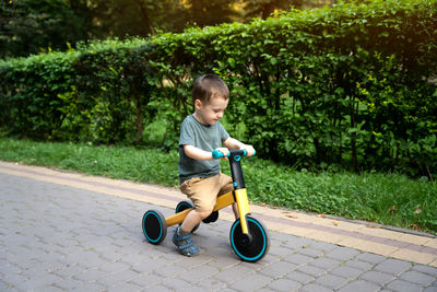 A smiling toddler boy of two or three years old rides a bicycle or balance bike in a city park