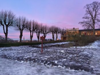 Bare trees against sky during winter