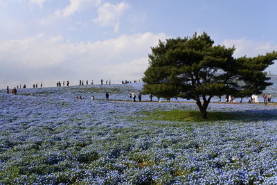 Group of people on beach against sky