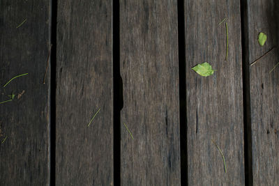 wood