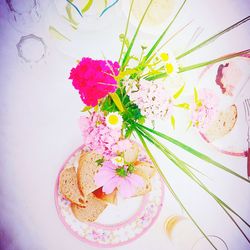 Close-up of pink flowers