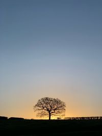 Silhouette bare tree on field against sky during sunset