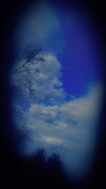 Low angle view of trees against blue sky