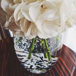 Close-up of rose in vase