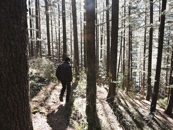 Rear view of man standing by trees in forest