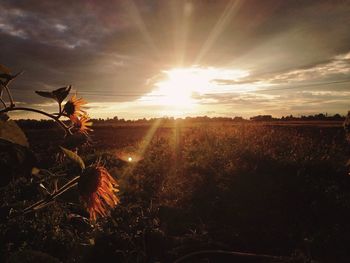 sun