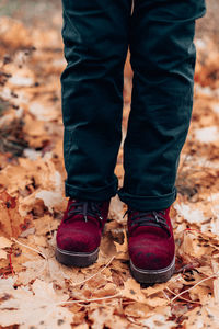 Low section of man standing on field during autumn