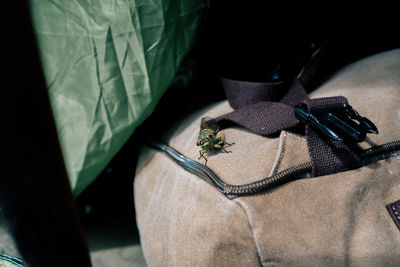 High angle view of insect on seat