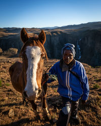 Portrait of horse in a field