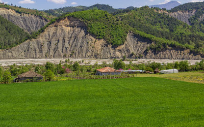 Scenic view of landscape with mountain in background