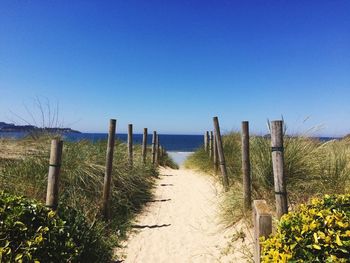 Scenic view of beach against clear blue sky