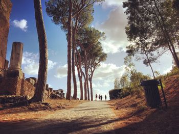 Panoramic view of trees on landscape against sky