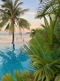 Swimming pool and sea