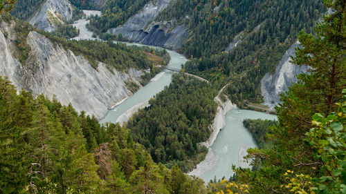 High angle view of waterfall in forest