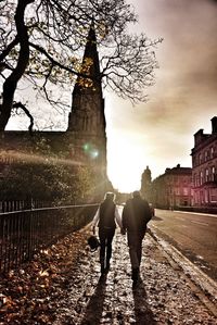 Bare trees against sky