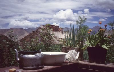 Potted plants on rock against sky