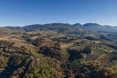 Aerial view of