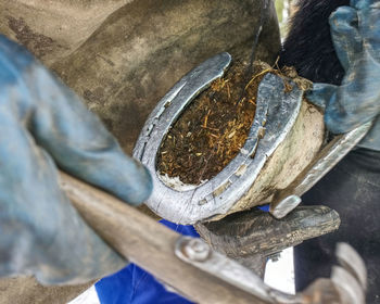 High angle view of bread in container on wood