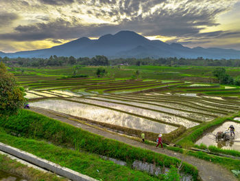 landscape