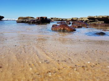 Surface level of beach against clear sky