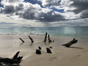 Scenic view of driftwood on beach against sky