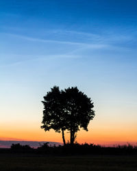 Silhouette tree on field against sky during sunset