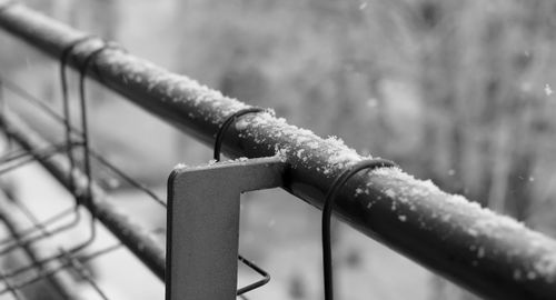 Close-up of snow