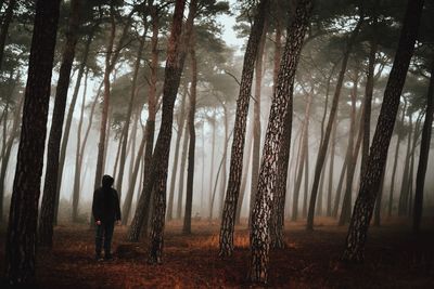 Man in forest