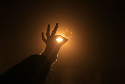 Cropped hand holding leaf against illuminated street light at night