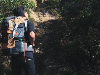 Rear view of man standing in forest