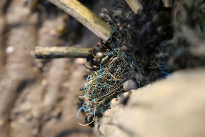 Close-up of rusty metal rope