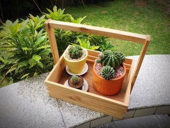 High angle view of potted plants on table