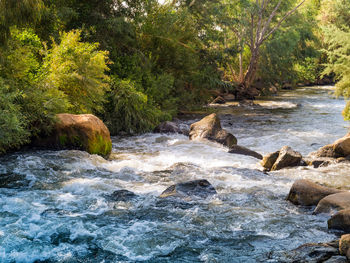 Scenic view of rocks in water