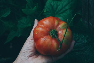 Close-up of hand holding strawberry