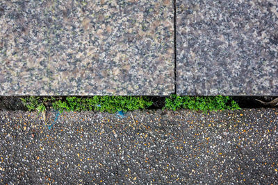 High angle view of stone wall