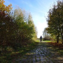 People walking on footpath