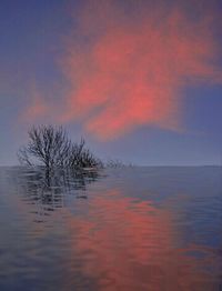 Scenic view of sea at sunset