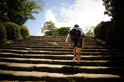 Rear view of man walking on stairs