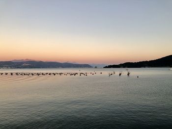 Scenic view of sea against clear sky during sunset