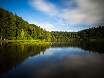Scenic view of lake by trees in forest against sky