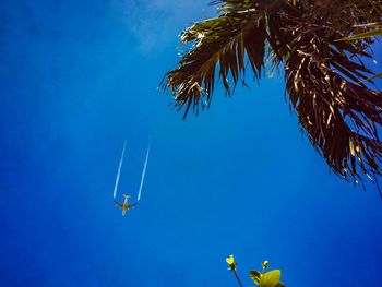 Low angle view of palm tree against clear blue sky