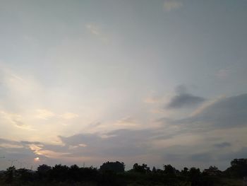 Low angle view of silhouette trees against sky